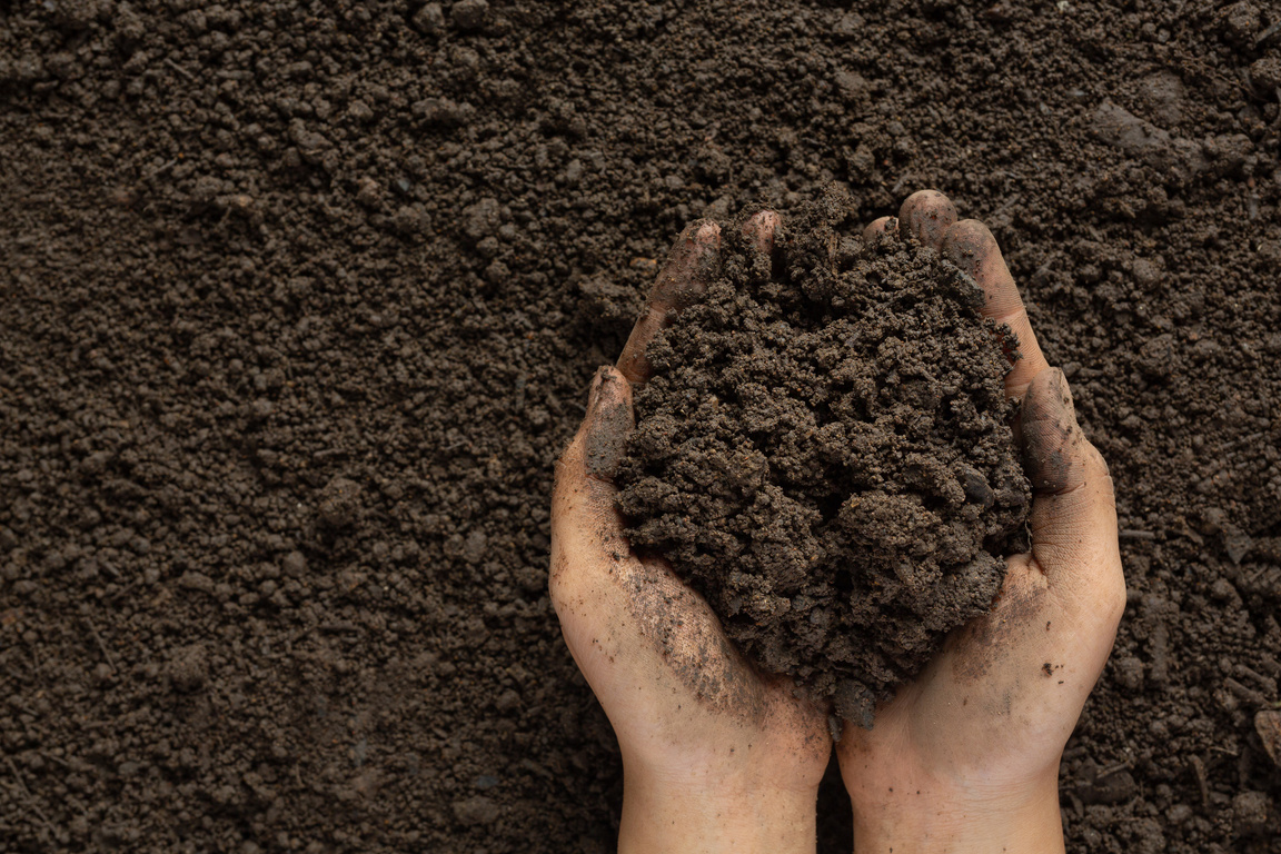 Hand Holding Black Soil for Cultivating Crops World Soil Day Con